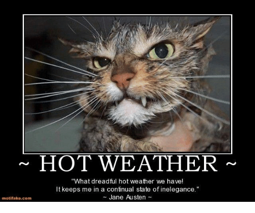 motifake-comm-hot-weather-what-dreadful-hot-weather-we-have-14065874.png