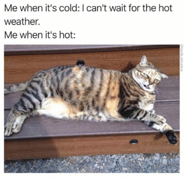 hot-weather-memes-to-help-cool-you-down-31-photos-218.jpg