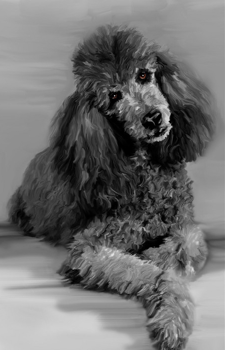 Painted Poodle small version-XL.jpg