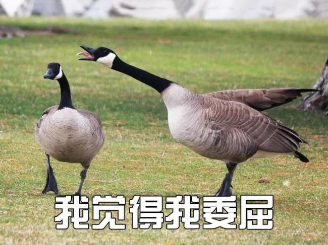 WeChat Image_20181211104345.jpg