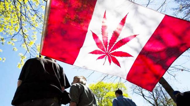 Cannabis-Canada_edited.jpg