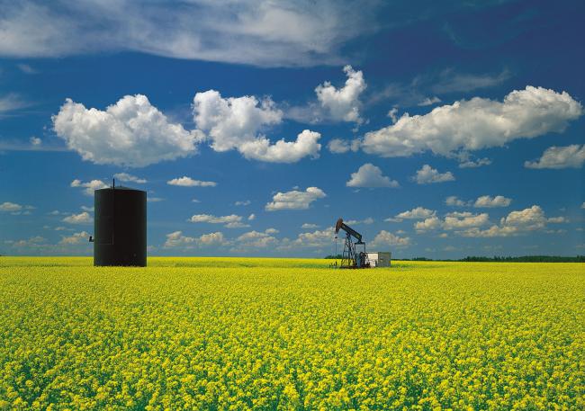 oil-well-mustard-field-Great-Plains-Saskatchewan.jpg