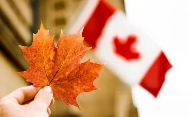 巨变! 民调揭露惊人真相: 加拿大人快撑不住了 巨变! 民调揭露惊人真相: 加拿大人快撑不住了