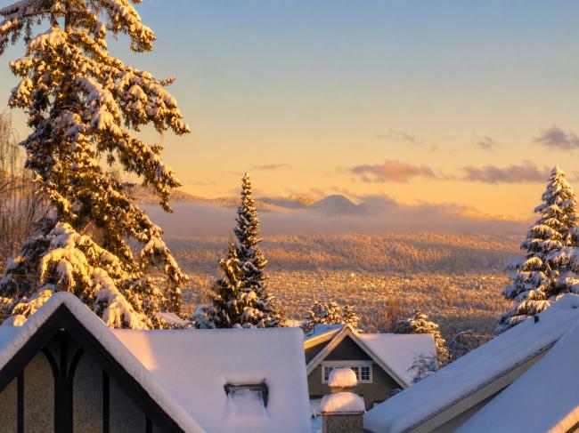 snow-001.png