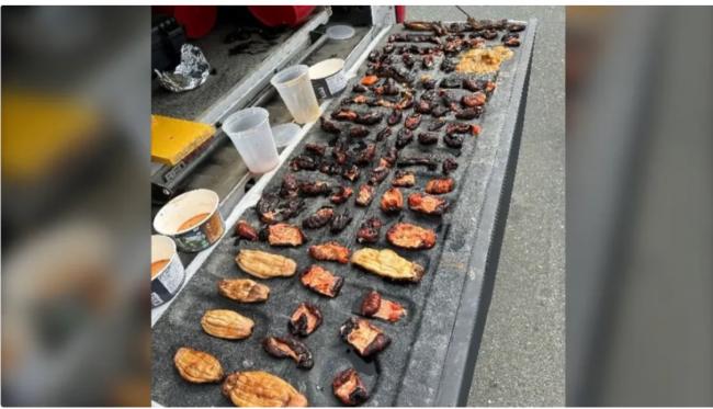 华人温哥华狂捞400多斤螃蟹,配青岛啤酒直喊爽